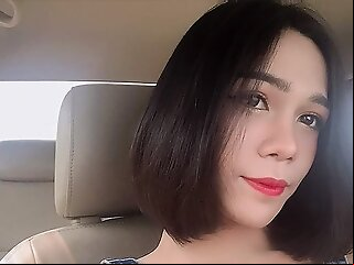 ladyboy busty
