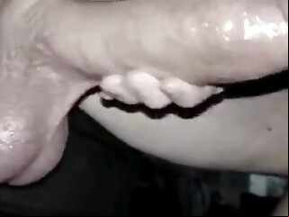 cock